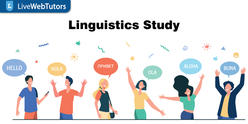 What Are The 7 Purpose of Linguistics Assignment Help?